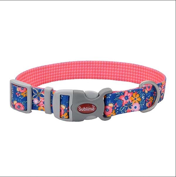 Cute floral dog collar