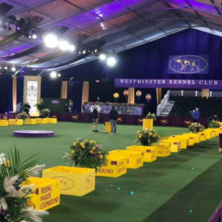 Indoor the Westminster Kennel Club Dog Show