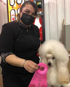 Brittney Vale wins an award for her Poodle Groom