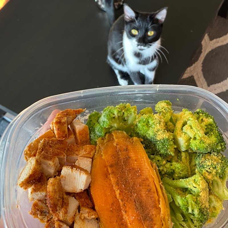 Chicken, Sweet Potatoes, and Broccoli