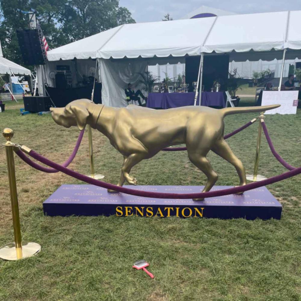 Chris Christensen Big G Coral Slicker Brush in front of the Sensation Monument at 2021 Westminster Kennel Club Dog Show