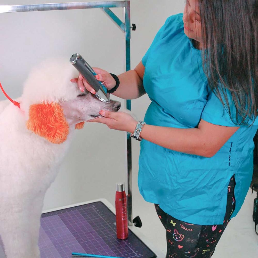 Example of a groomer having arms too high while trimming the face