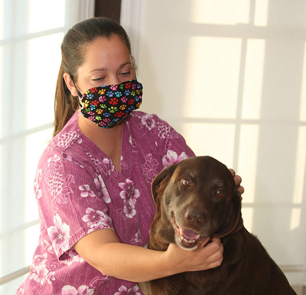 Groomer wearing a Breathe Healthy face mask