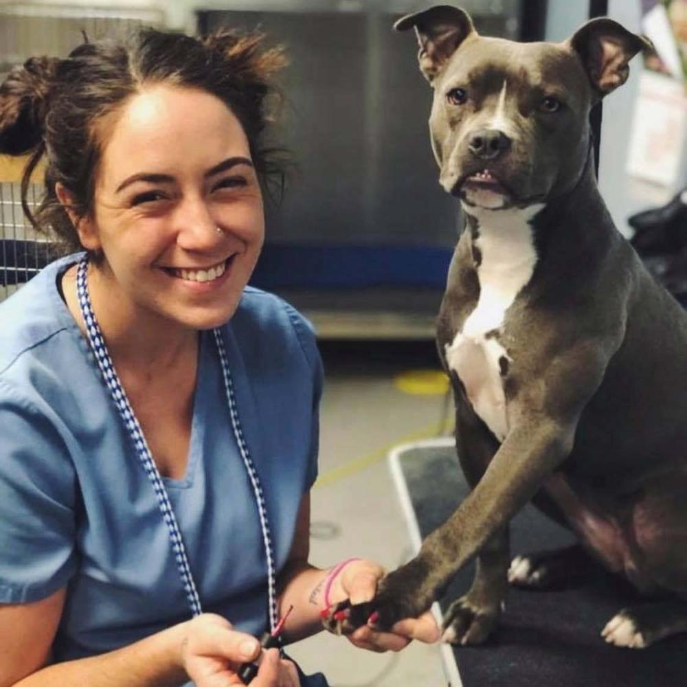 Emily Walker aka EZ Grooming paints a pitbull's nails