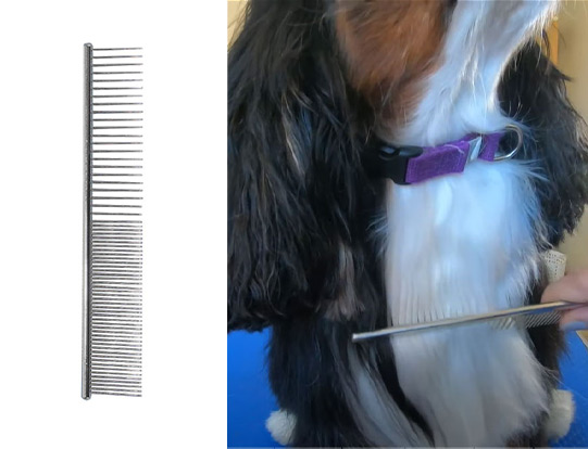 Greyhound Combs to find knots left after brushing