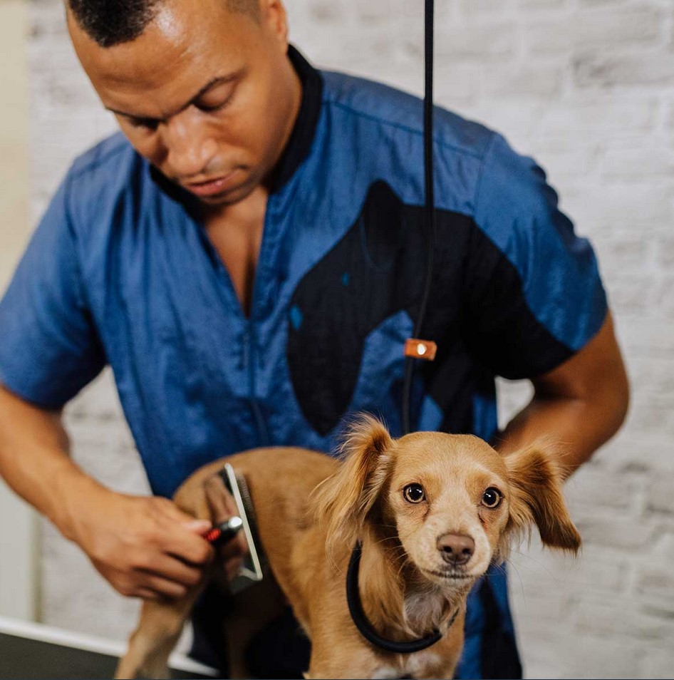 Groomer Jason brushing Peanut