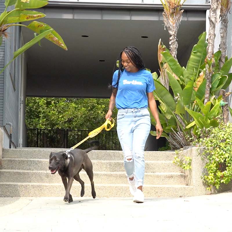 Groomer Joy Burton walking out a freshly-groomed dog