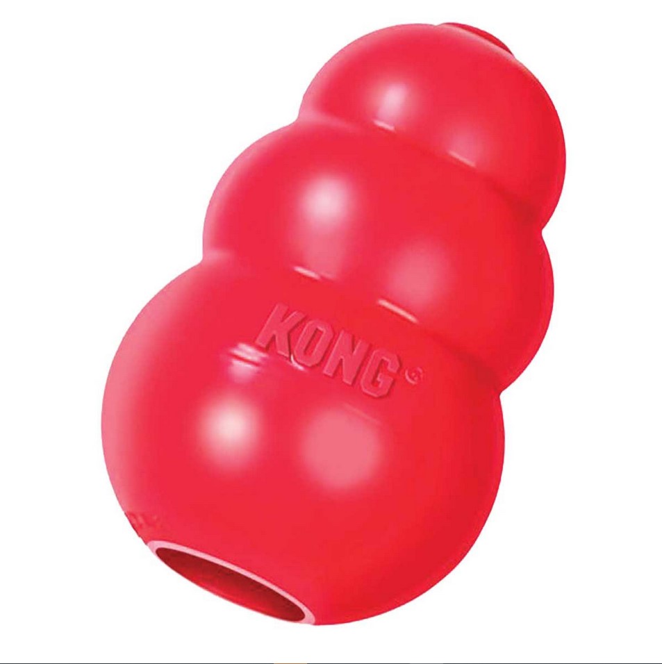 KONG Rubber Dog Toy