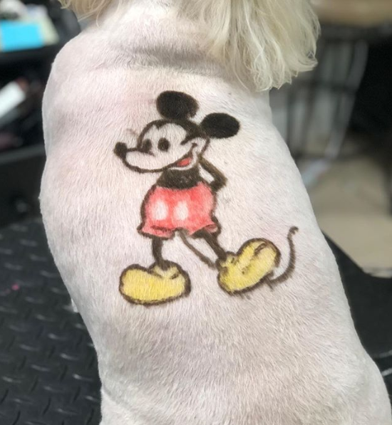 Katrina Short grooms a Mickey Mouse into a dog