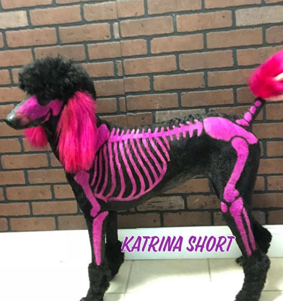 Katrina Short groomed a hot pink skeleton onto a dog