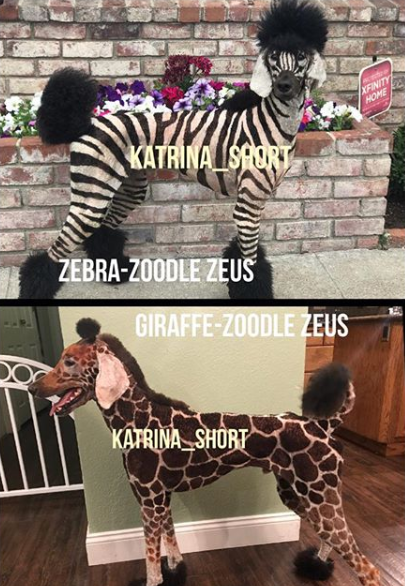 Katrina Short's dogs as a Zebra and a Giraffe