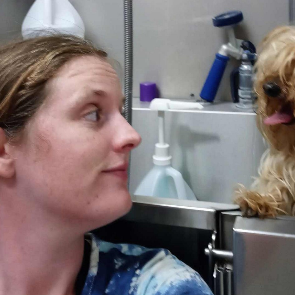 Kaylee and a little yorkie in the grooming tub