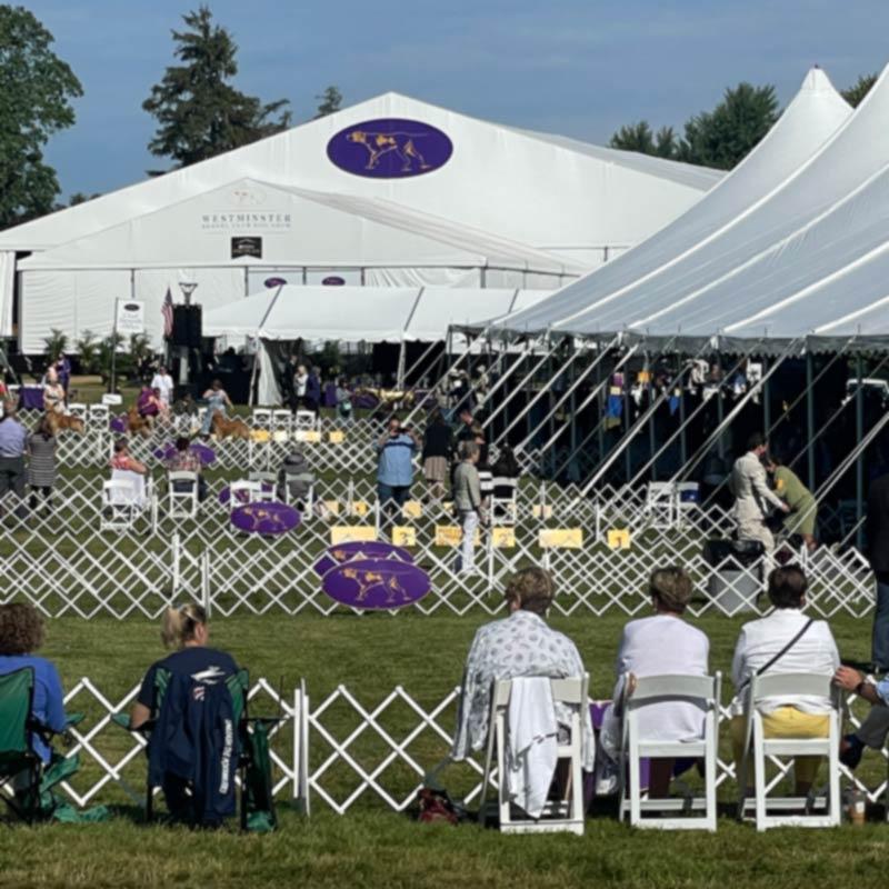 Outdoor Showrings and Tents make it a Garden Party at the 2021 Westminster Kennel Club Dog Show