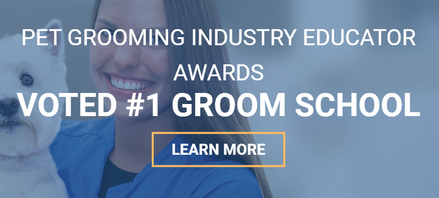 Paragon Distance Learning for Groomers - Voted #1 Groom School