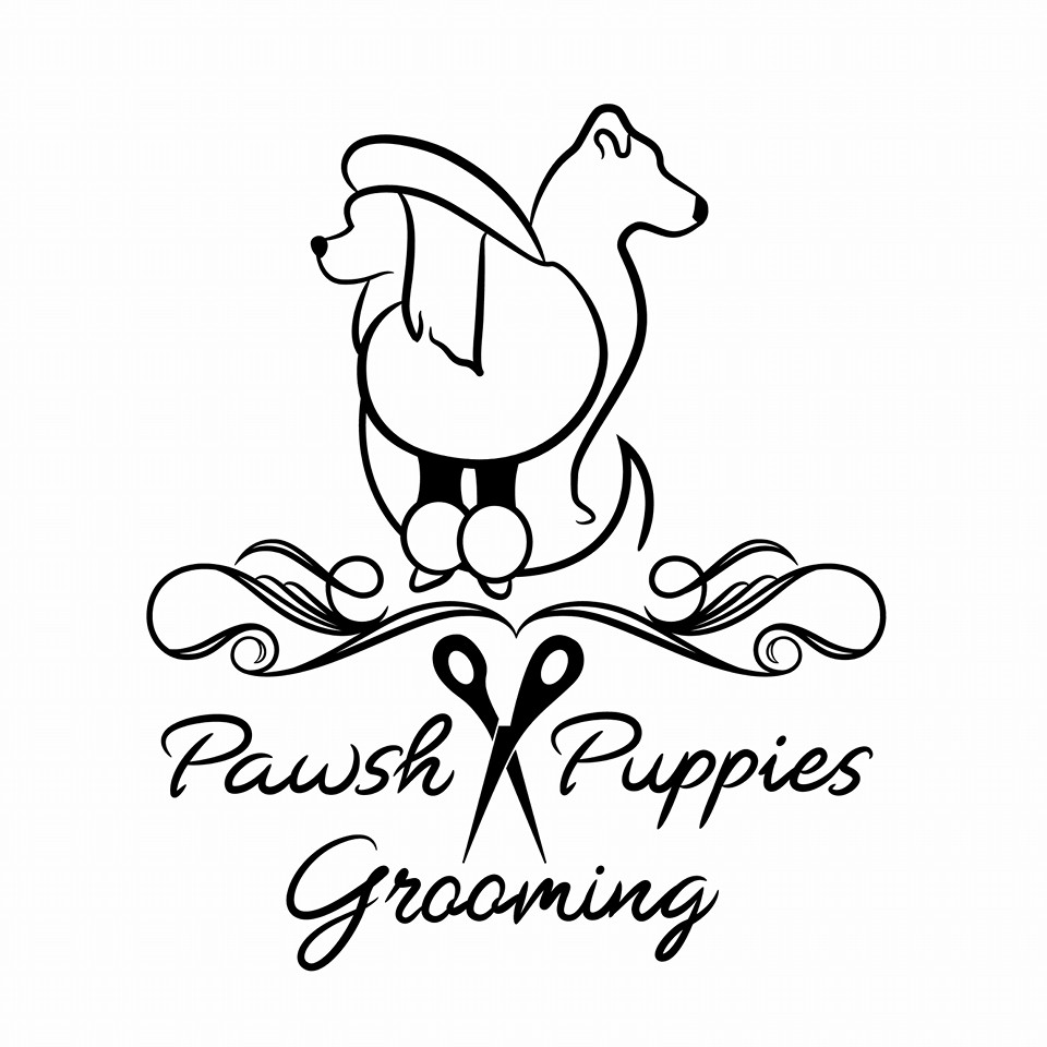 Pawsh Puppies Grooming