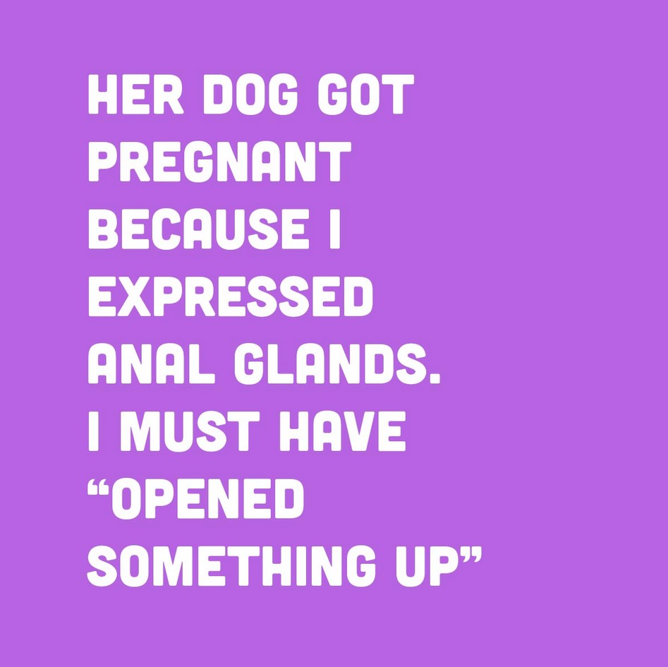 Her dog got pregnant because I expressed anal glands. I must have "opened something up"