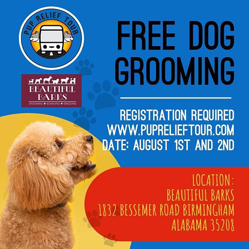 Free Dog Grooming at KanidKutz Salon and Spa