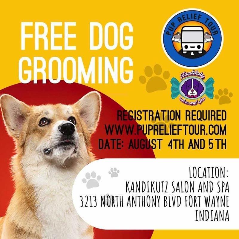 Free Dog Grooming at the Street Dogz on the Pup Relief Tour