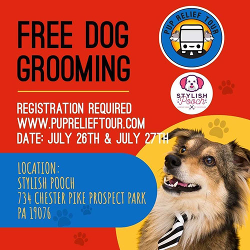 Free Dog Grooming at the Stylish Pooch on the Pup Relief Tour