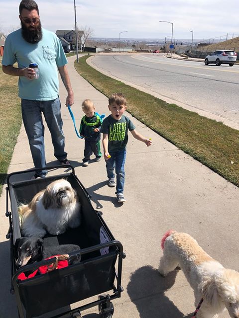 Sara's sons, Ivan and Stanley going for a walk with her husband and dogs