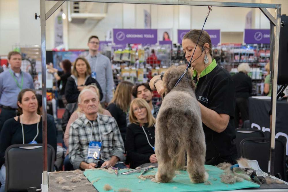 Andis Educator instructs an audience on grooming a specific dog breed