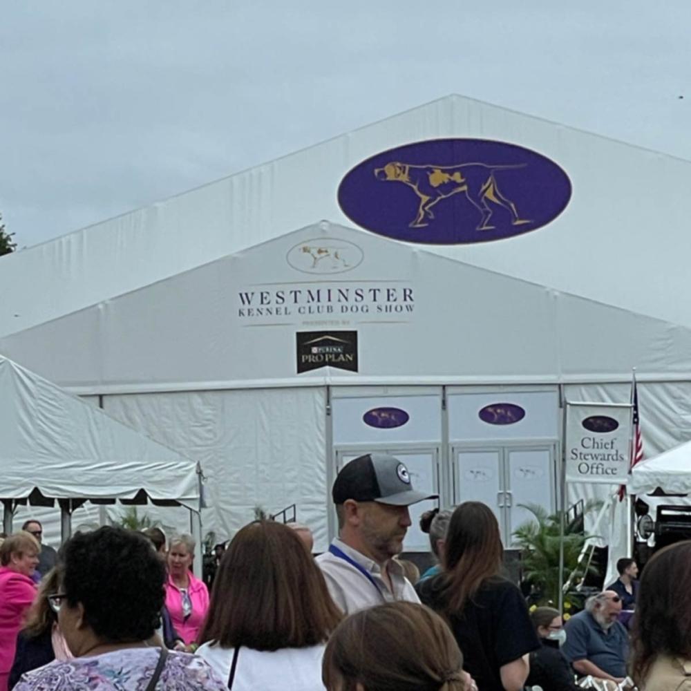 Tents at the Westminster Kennel Club Dog Show