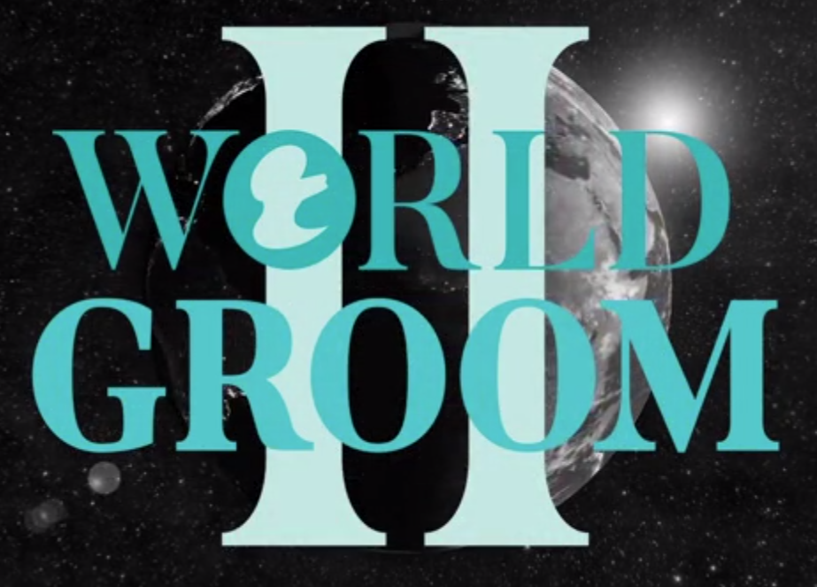 Barkleigh's World Groom II