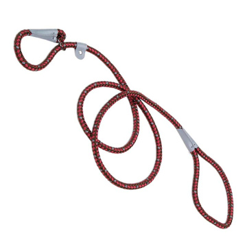 Coastal K9 Explorer Braided Rope Slip Leash 6'