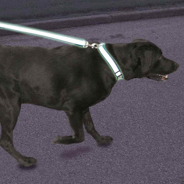 Coastal Lazer Brite Reflective Lead 3/8