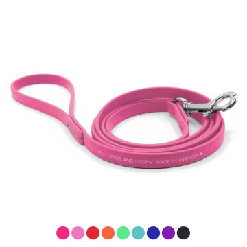 Jelly Pet Waterproof Standard Dog Leash - 1/2'' x 6'