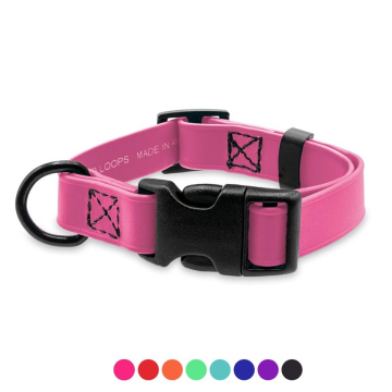 Jelly Pet Small Dog Collar 3/4