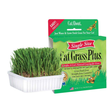Cat Grass Plus -  Grow Grass in 1 Week (single size)