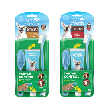 Fresh Breath Enticers Oral Care Kits