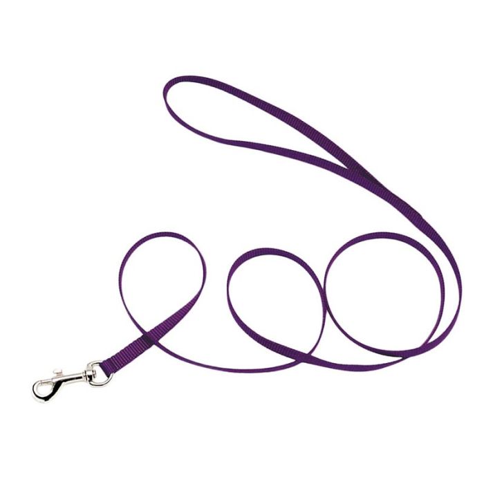 Coastal Nylon Leads 6' X 3/8''