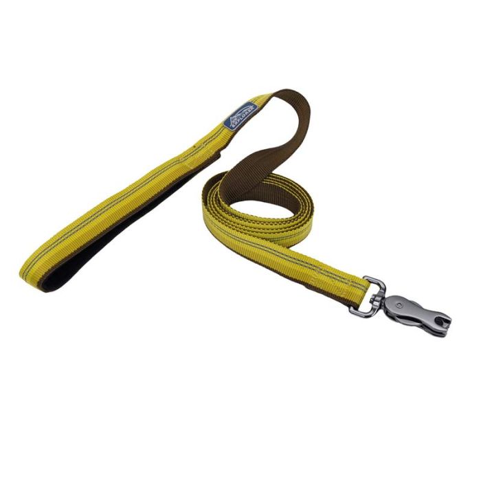 Coastal K9 Explorer Leash 1" x 6'