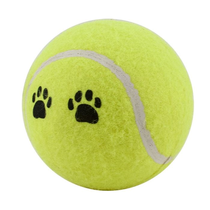 Tennis ball for dogs shops