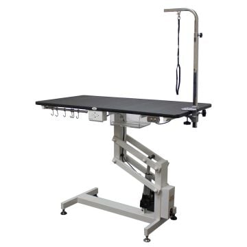 Value Groom 48" Professional Electric Grooming Table w/ Arm