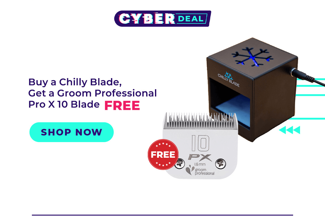 Buy a Chilly Blade, Get a GP Blade Free